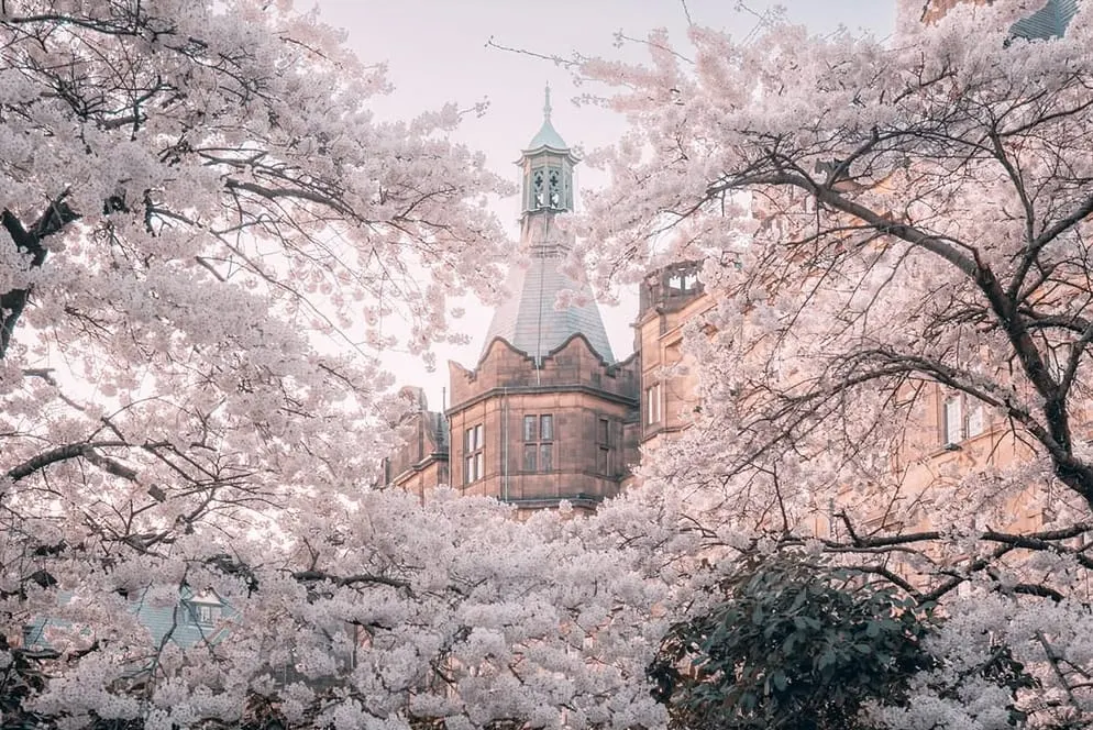 A blue corridor in the heart of the city