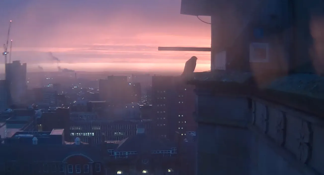 A Hillsborough GP has stopped offering hormones to transgender patients. Is this part of a wider trend?