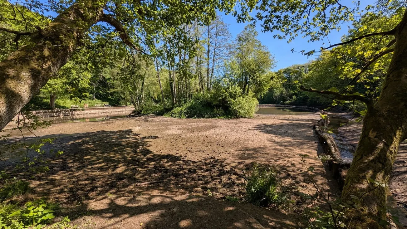 Valley of the damned