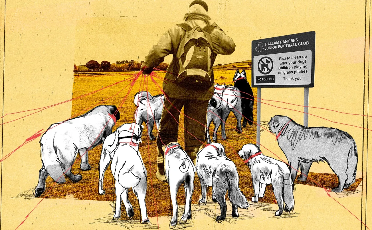 Off the lead: Is Sheffield's booming dog walking industry out of control?