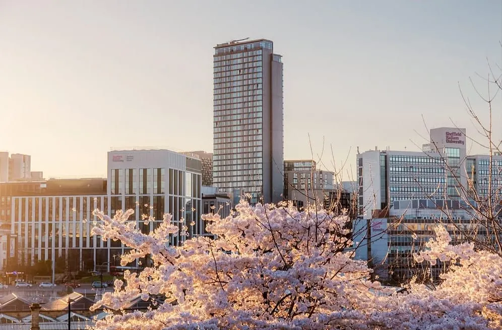 Sheffield tip one of the worst in country for illegal dumping