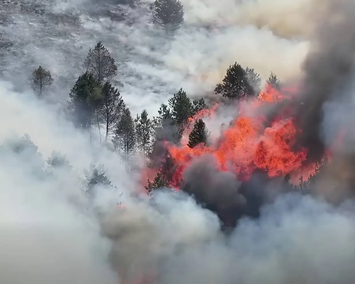 How ten million litres of water saved the Peaks from a fiery destruction