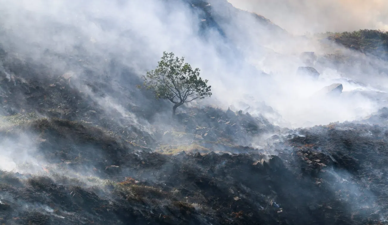 The Peak District is on fire. Can we stop it happening again?