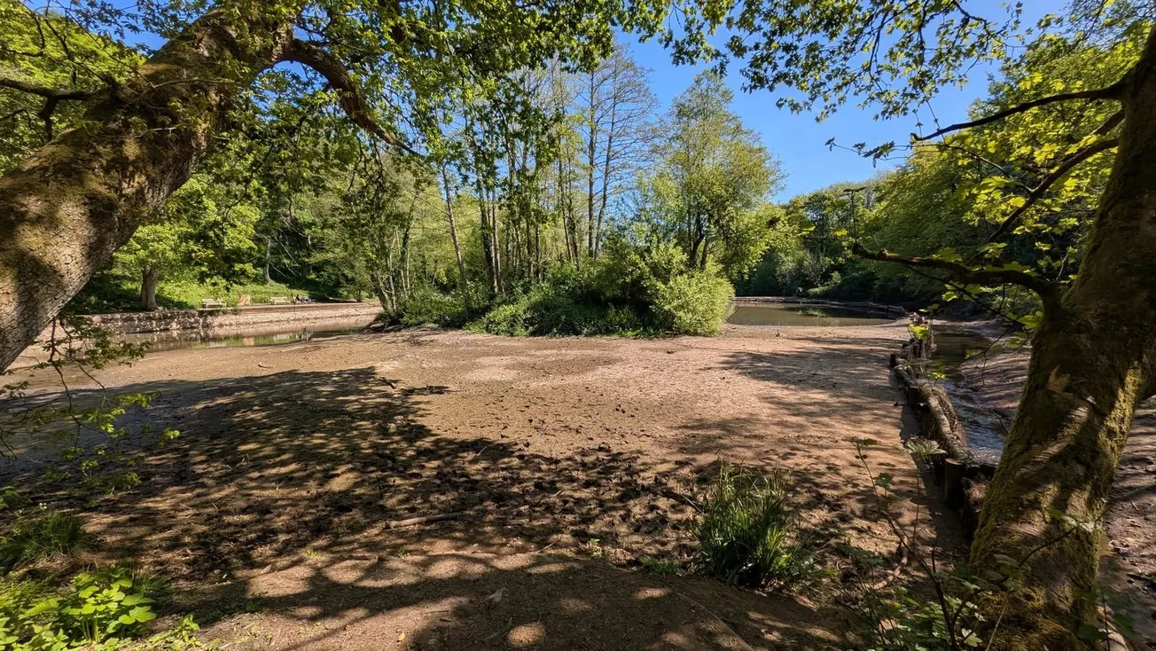 Forge Dam enters the last chance saloon