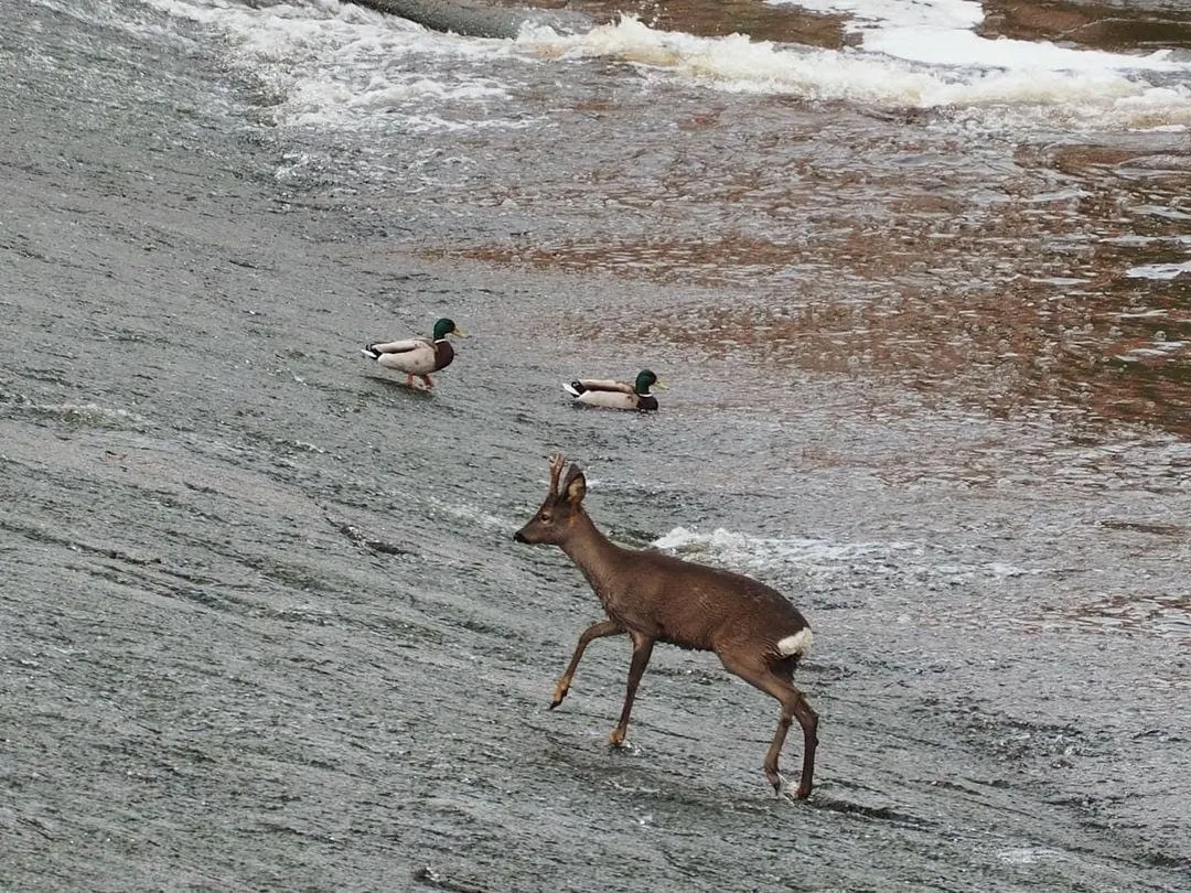Are we ready for 'change in all areas of life in Sheffield'?