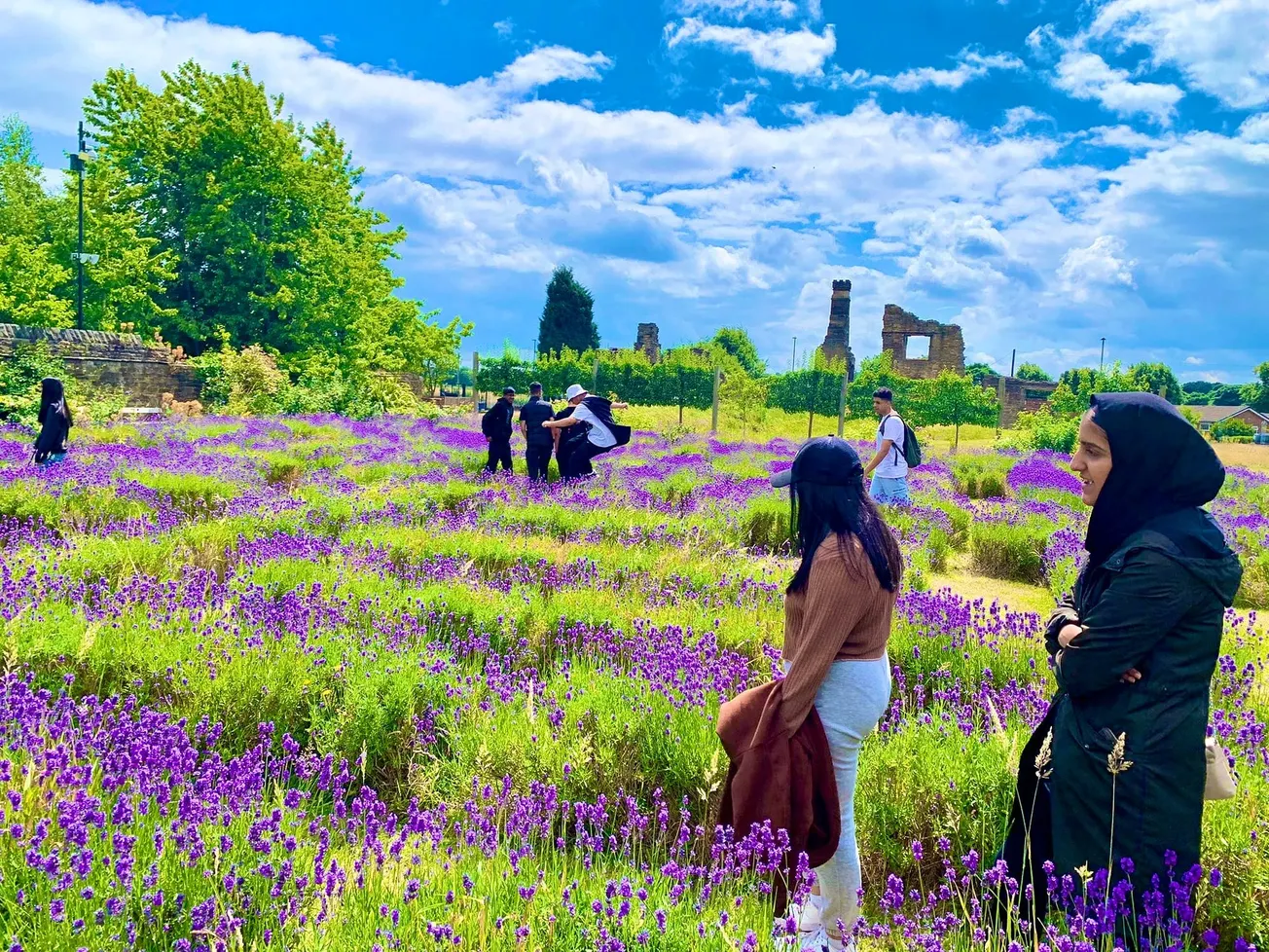 Sheffield, net zero and the climate emergency