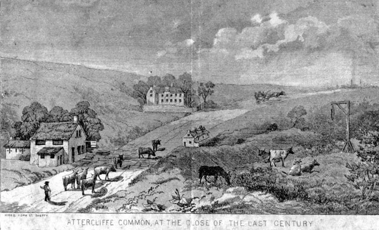 A tale of two gibbets