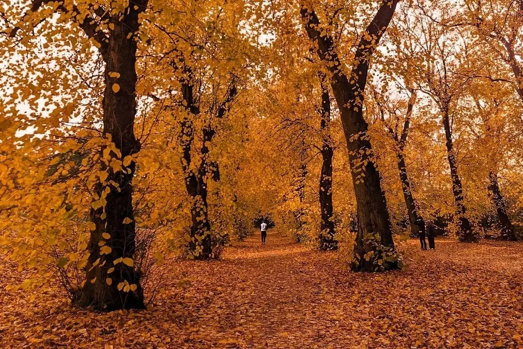 The gaping hole in Sheffield's regeneration