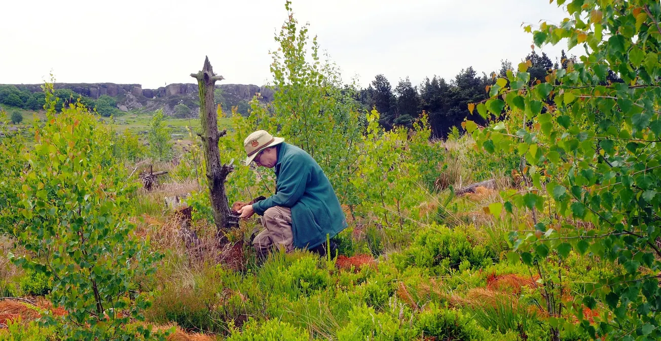Nature is dying, says the new government. So what is the Outdoor City doing to help it recover?