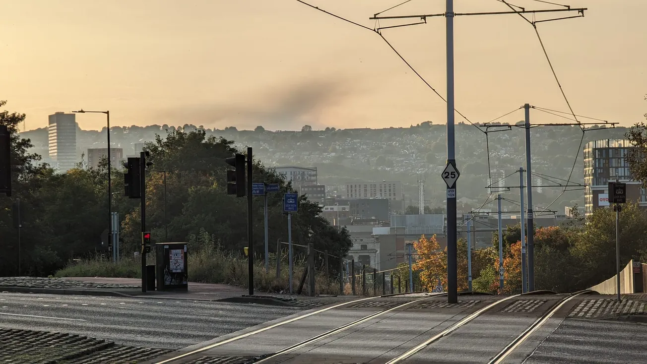 Should we ban grouse moor burning?