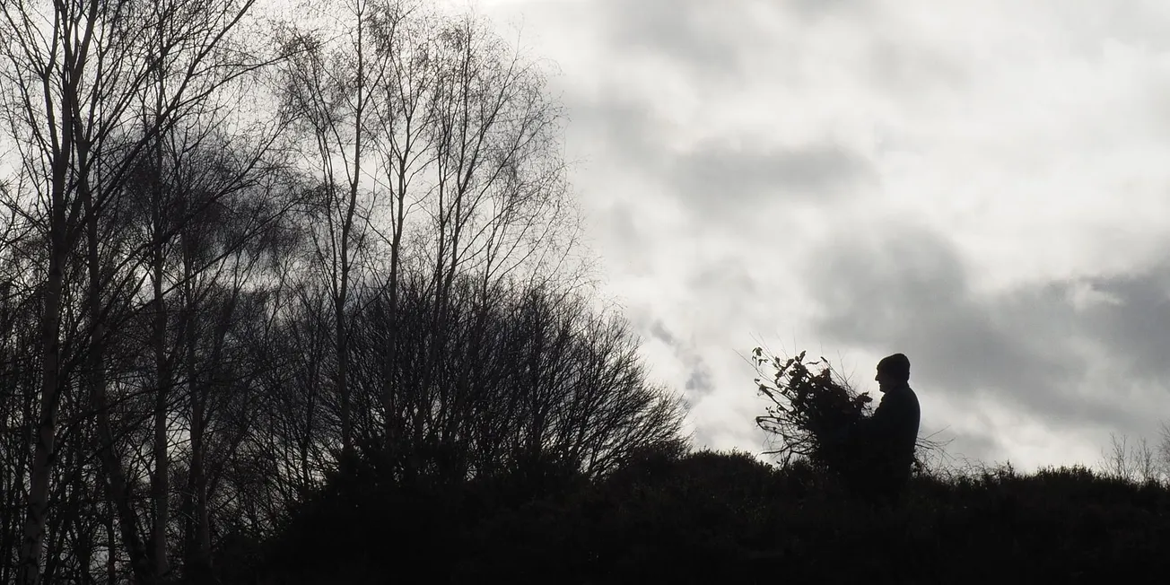 Parks and Remuneration