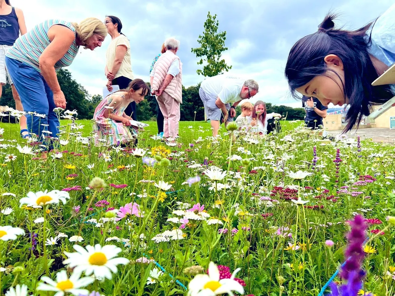 Is Sheffield about to become a nuclear free zone again?