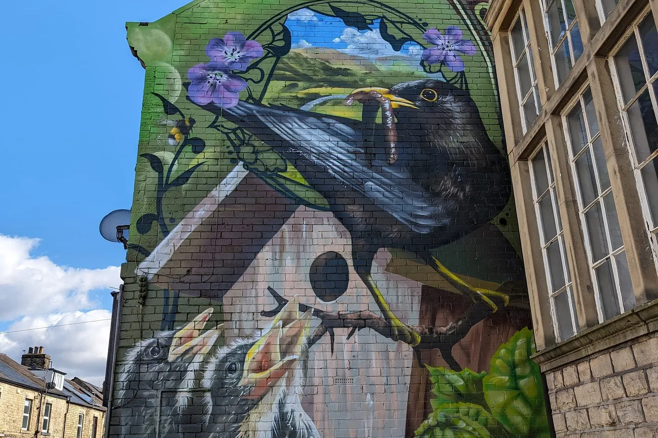 A torrid season for Sheffield’s football teams