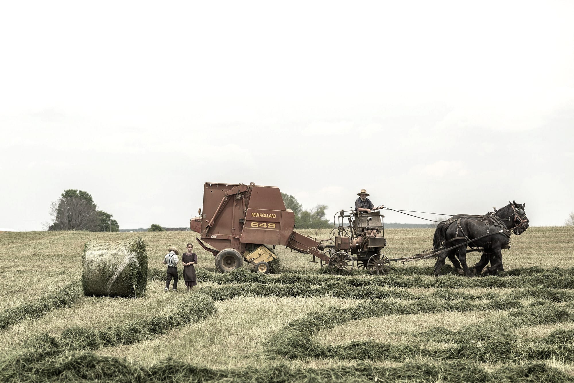 woman standing near brown combine harvester