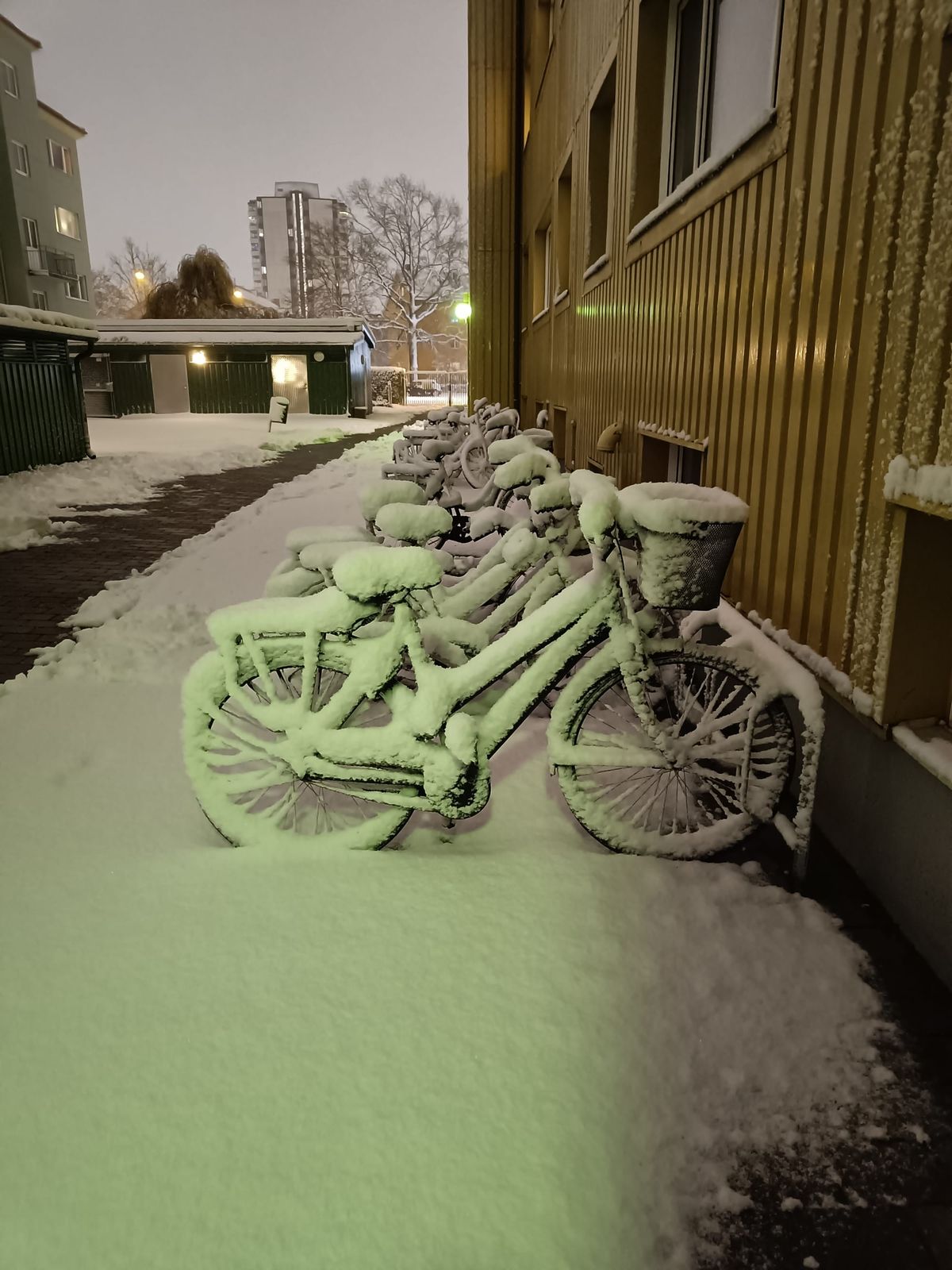 week 47 / 2025: snowblower