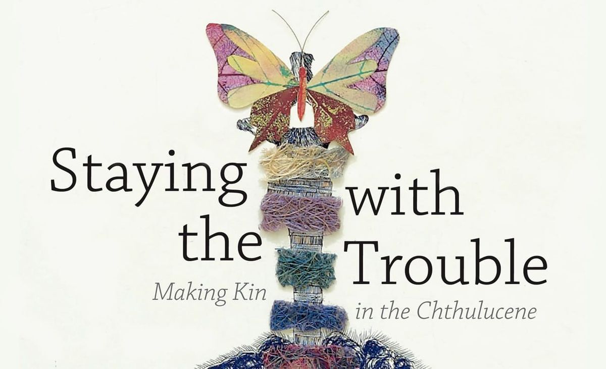 horse piss and dirty honey: on the more-than-human in (and beyond) Haraway’s Staying With the Trouble