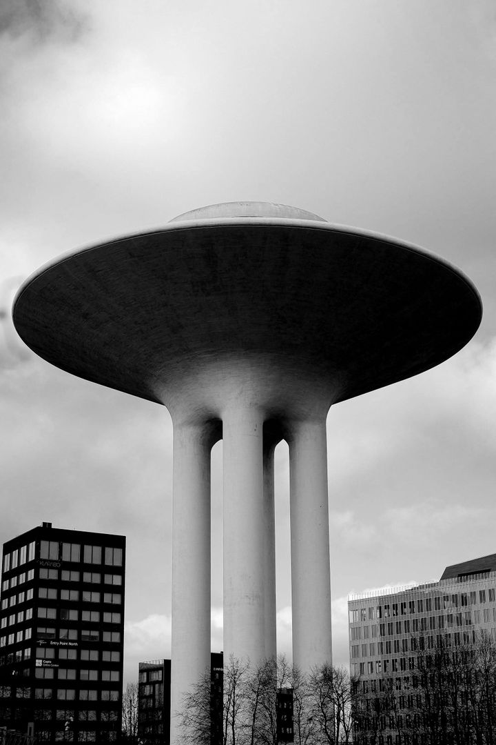 week 48 / 2025: walking in the shadows