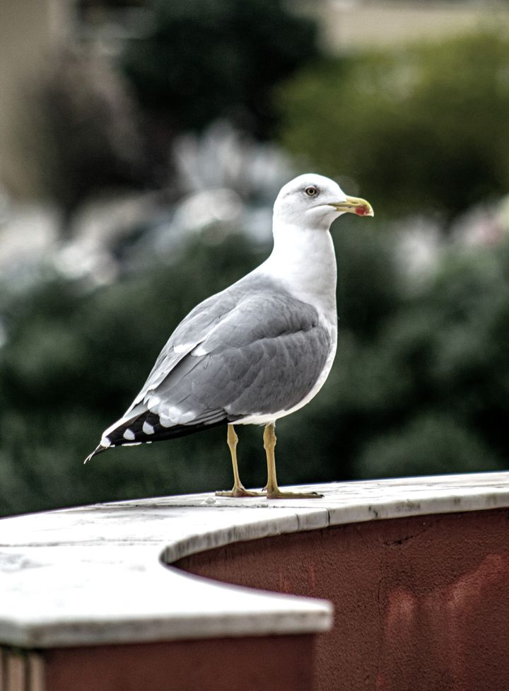 week 10 / 2026: futures and histories