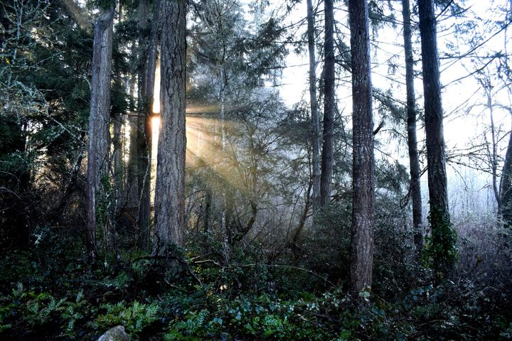 week 32 / 2026: nature and culture