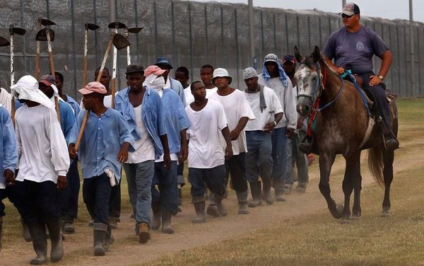 Why the Angola Farm Line Ruling Was a False Victory
