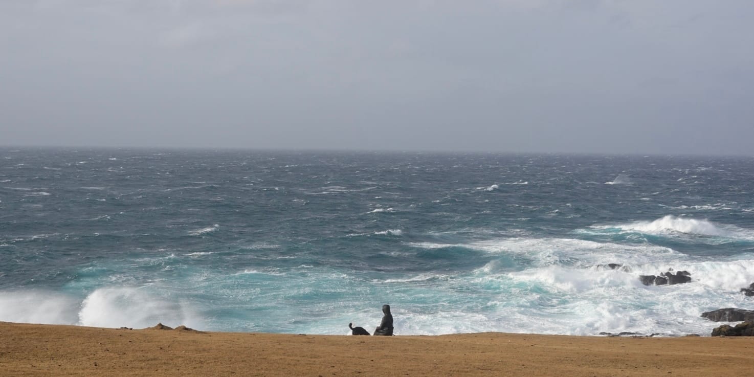 Ali in a hooded jacket sits on a sandy beach beside Nunu, both facing a rough, wind-whipped ocean under a gray sky.
