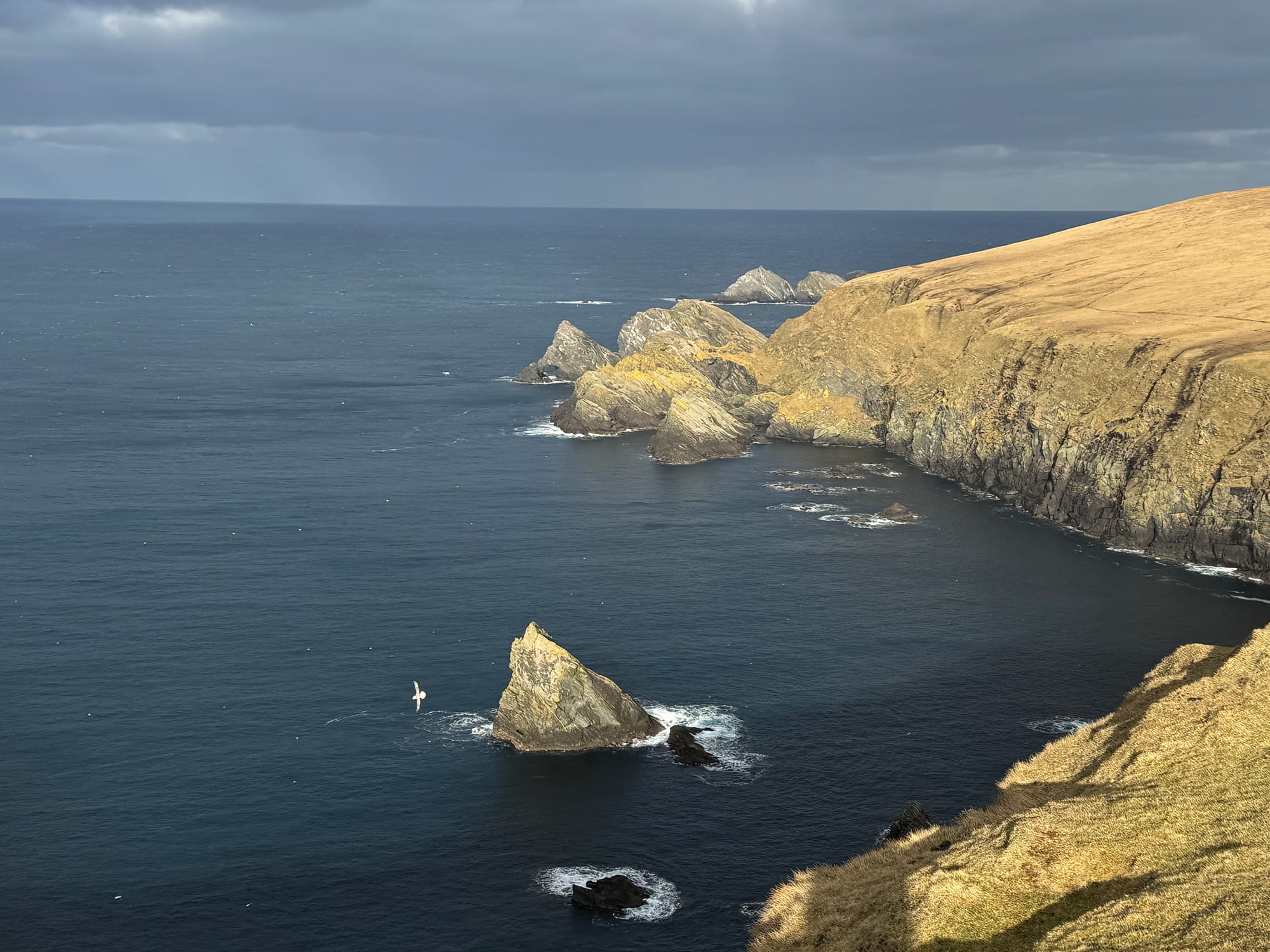 A wide coastal view showing rugged cliffs and grassy hills meeting a deep blue ocean under cloudy skies, with a few seabirds flying near jagged offshore rocks.
