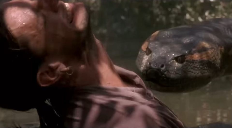 My Anaconda DOES Want Some