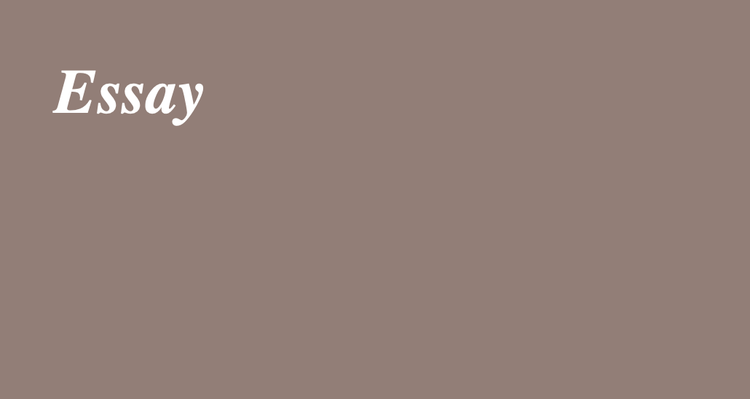 Essay