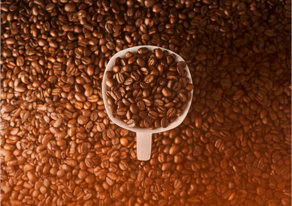 Cafeine et concentration : comment optimiser sa vigilance au travail sans en abuser