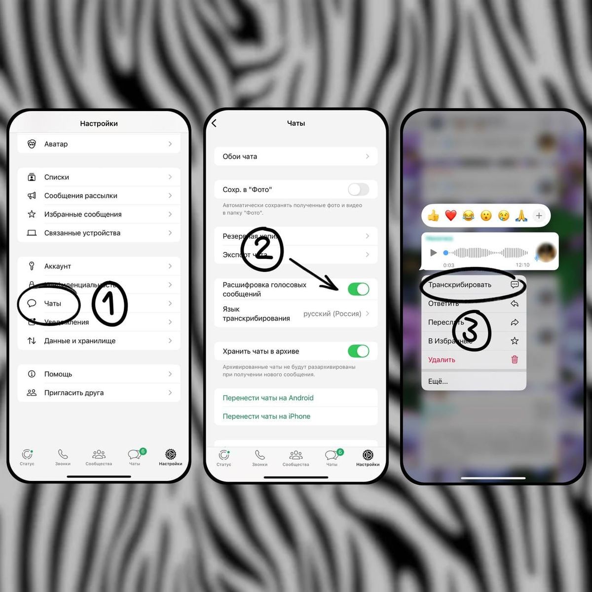 Голосовые сообщения в WhatsApp теперь можно расшифровывать!