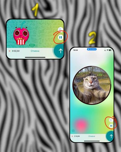 И еще о новых функциях в Telegram
