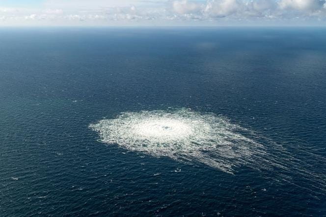 Nord Stream pipeline explosions raise concerns for Baltic Sea ecosystem