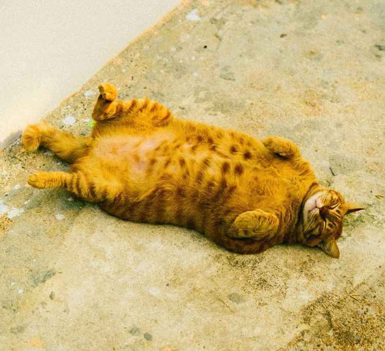 Giving Back or Cashing In?