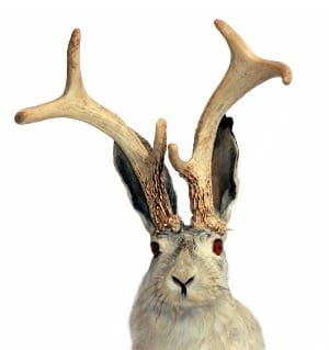 Three Philanthropic "Truths" That are Killing Our Communities