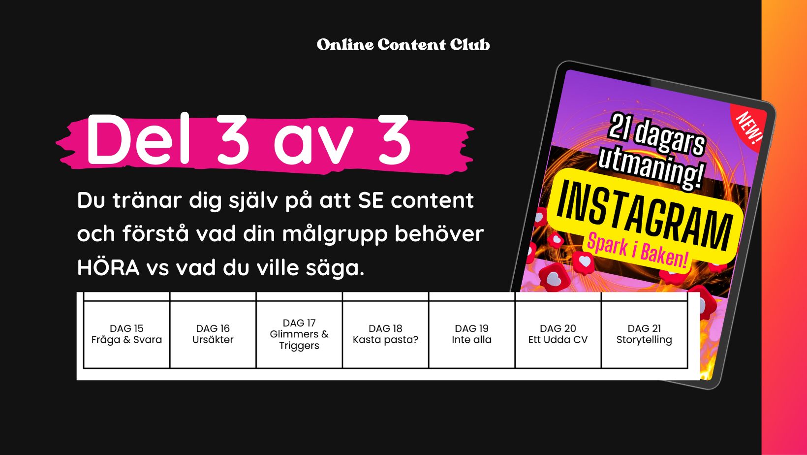 21 Dagars Utmaningen - Spark i Baken!