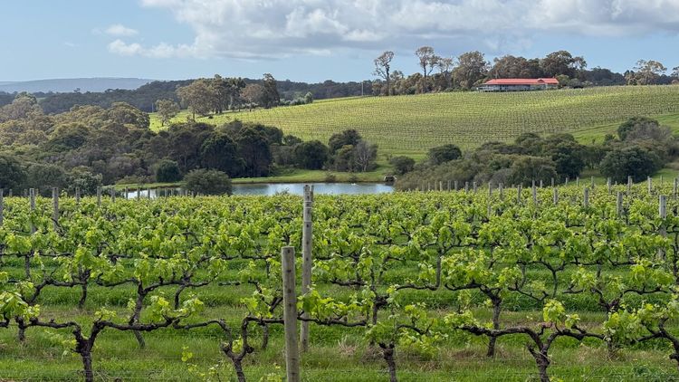 The Aussie state you should be visiting for food
