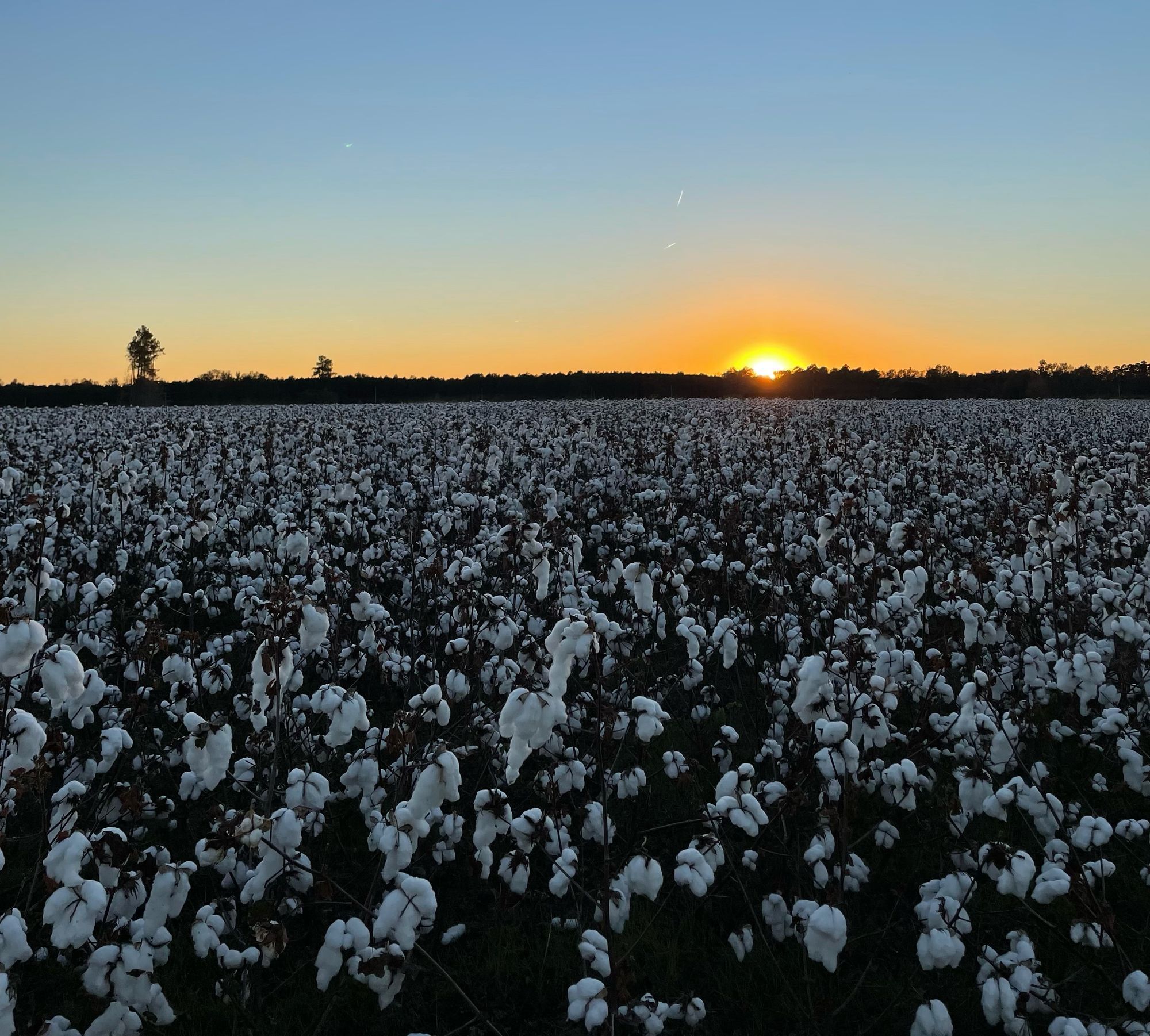 the sagging weight of the South