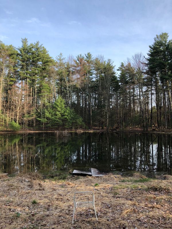 I have no idea who I am anymore and TikTok knows it