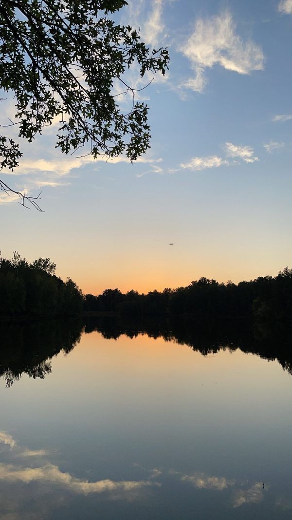 give me all the discomfort you've got