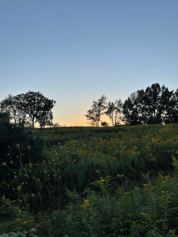 contemplating September