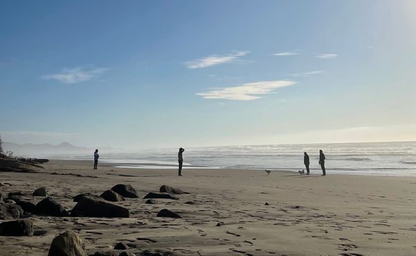 skirting along the coast