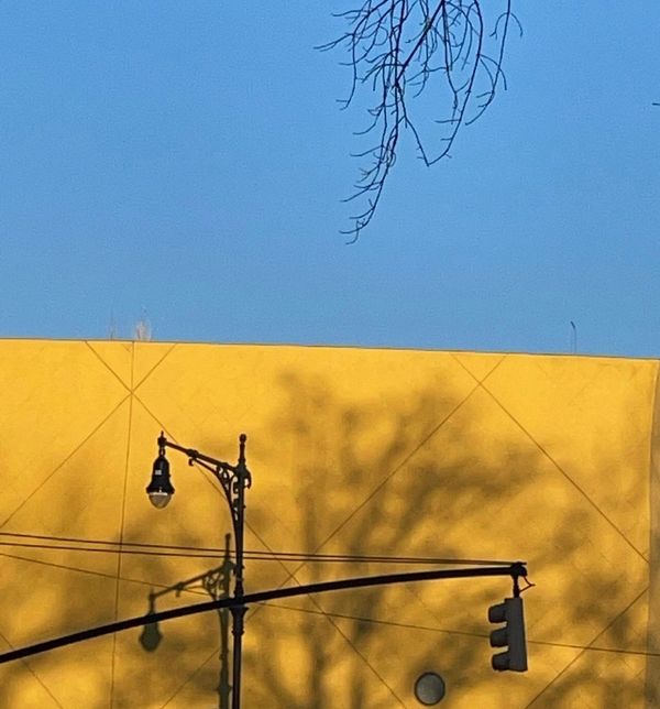 death and complicity in 1080p