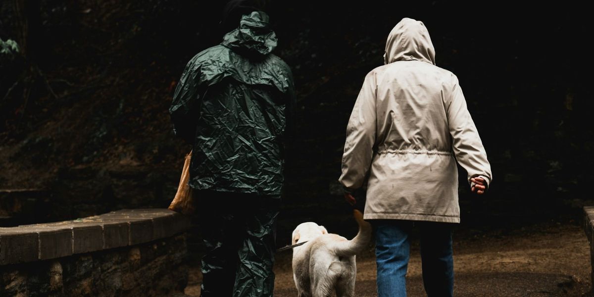 What Animal Shelters Won't Tell You About Pet Adoption for Older Adults Over 60