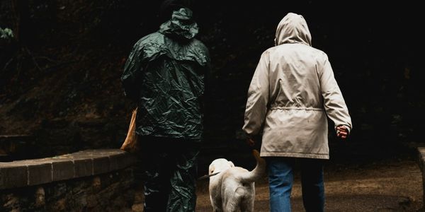 What Animal Shelters Won't Tell You About Pet Adoption for Older Adults Over 60