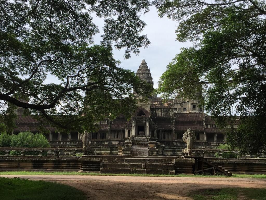 Nature vivante avec auteur: Patrick Tudoret Angkor, Cambodge, août 2017