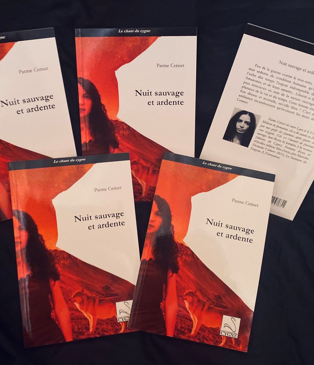 Au-delà de l’Enfer, l’Éden : « Nuit sauvage et ardente » de Parme Ceriset