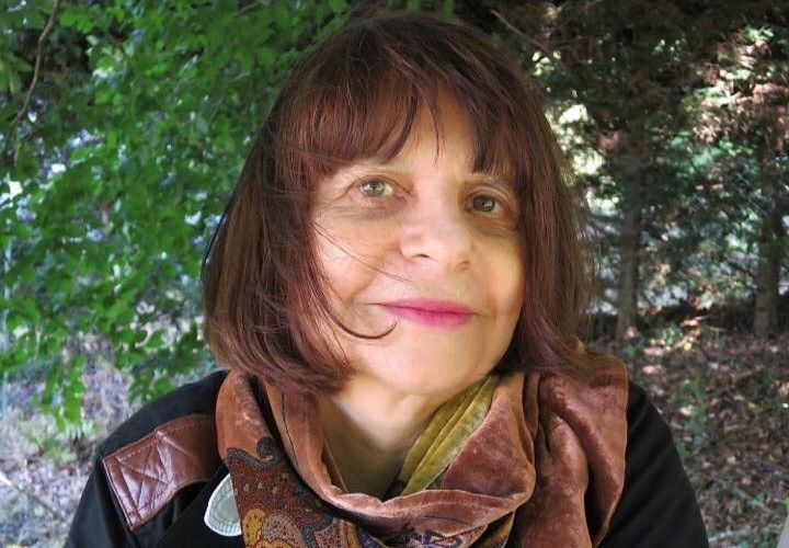 Céline Debayle : L'Île et le Vent