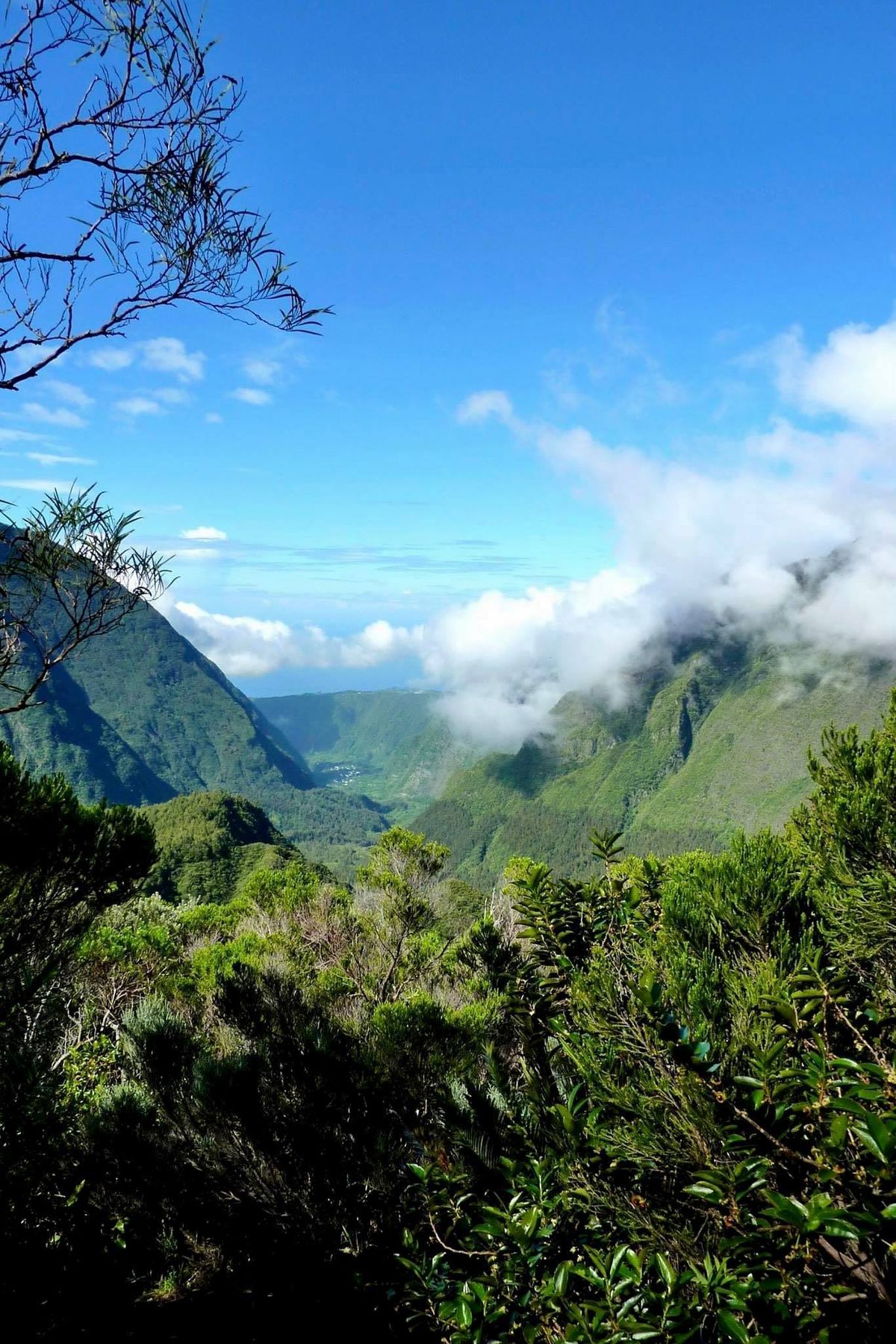Sonia Cadet, Lettre à l'Île de la Réunion