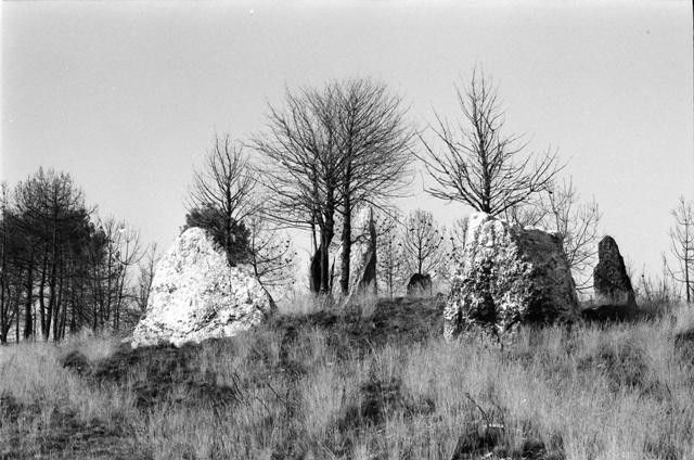 Nature vivante avec Carmen Pennarun : Saint-Just où filent les siècles sous l’étreinte de mes  semelles
