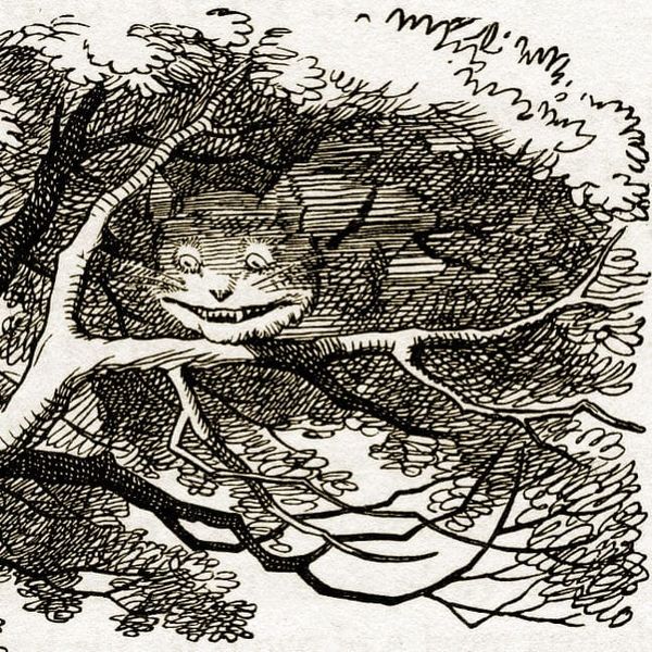 ON THE DIFFICULTIES OF PUTTING A CAT IN YOUR GAME